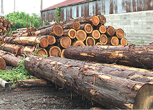 地元・大崎地域の木材使用！